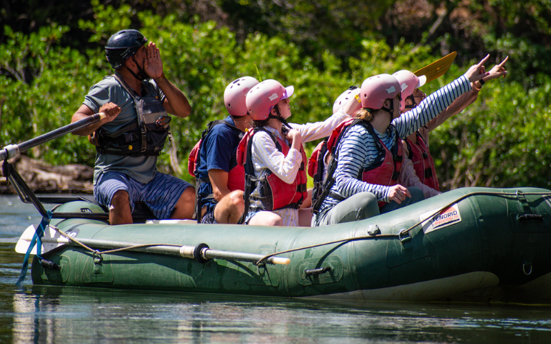 River safari