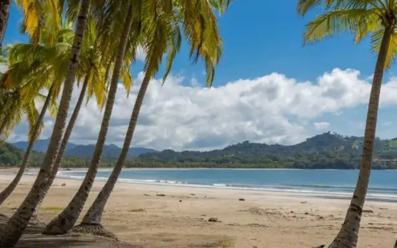 Samara and Carrillo crescent bays