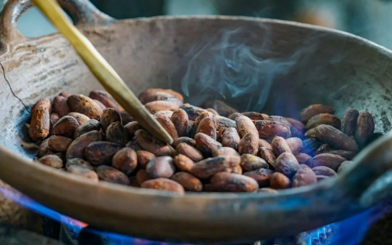 Cacao beans and chocolate