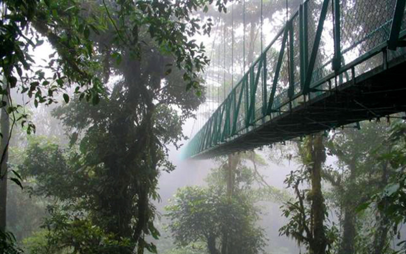Monteverde butterfly garden