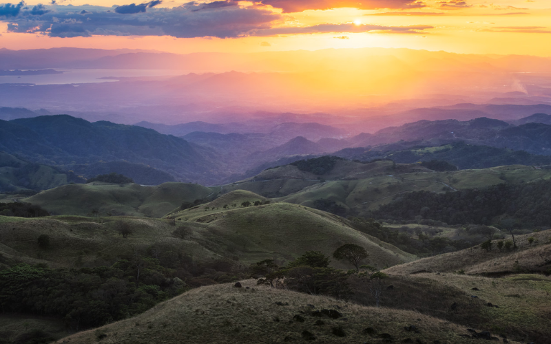 Three-toed sloth in cloud forest