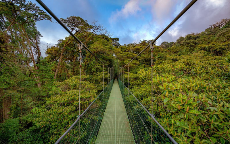 Zipline adventure in cloud forest