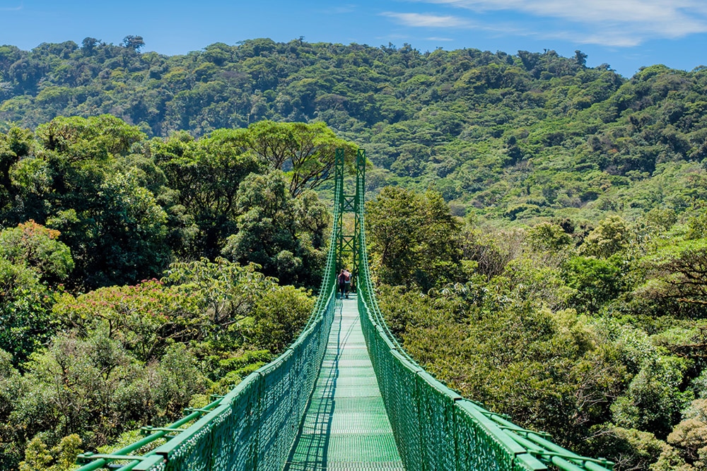 Monteverde Hanging Bridges Experience