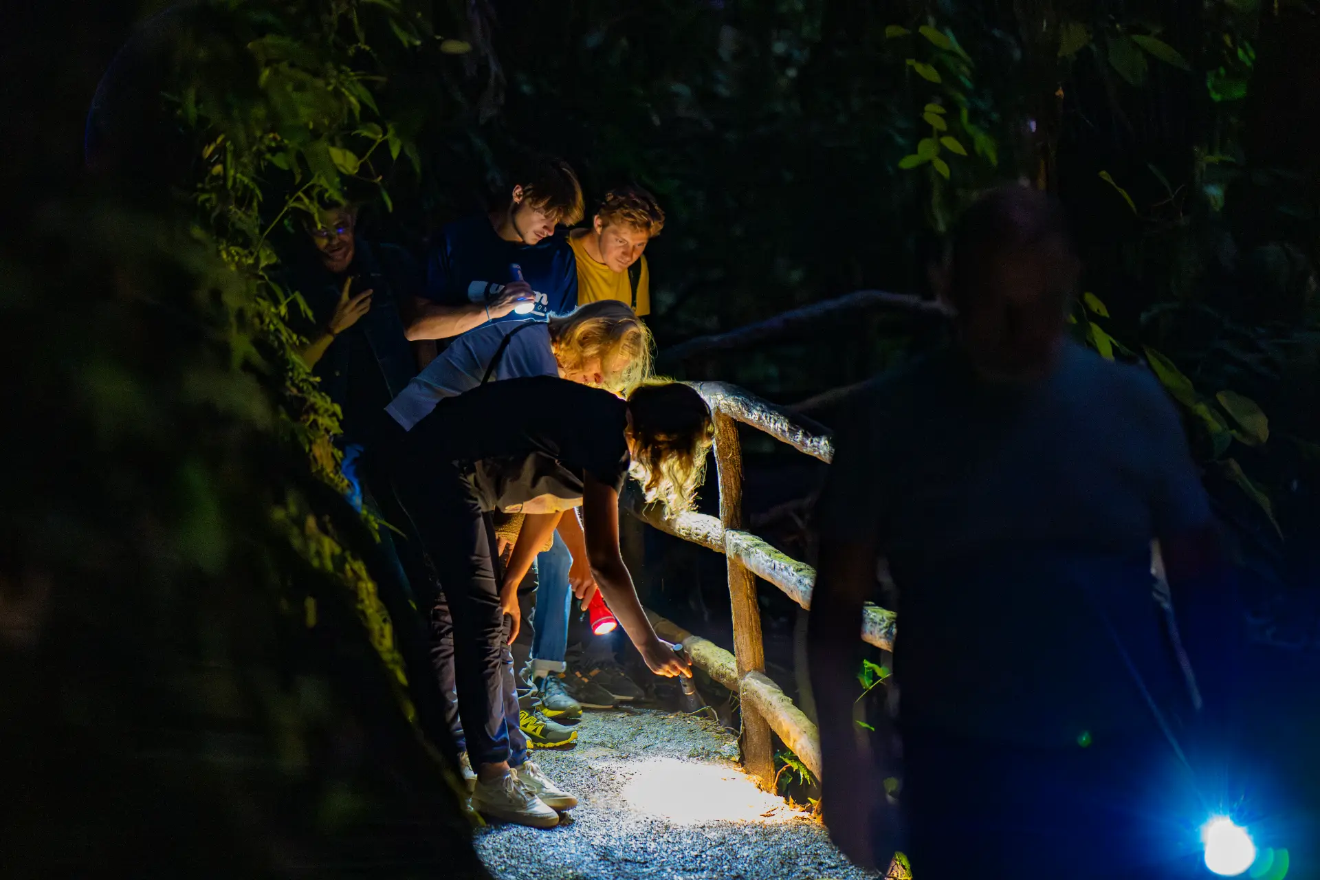 Nightfall Encounters La Fortuna